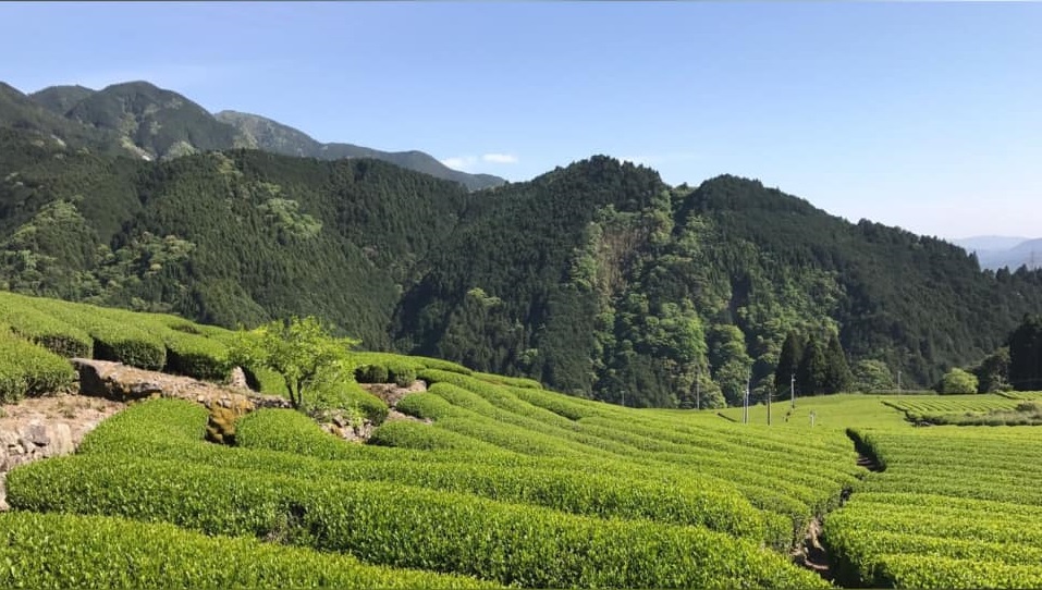 151549079_10159376001353678_4143830660630704372_n