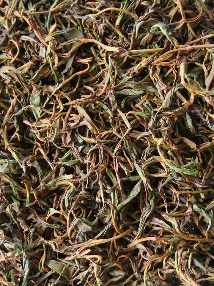 kyobashi tea - การหมัก ชา - การผลิตชา