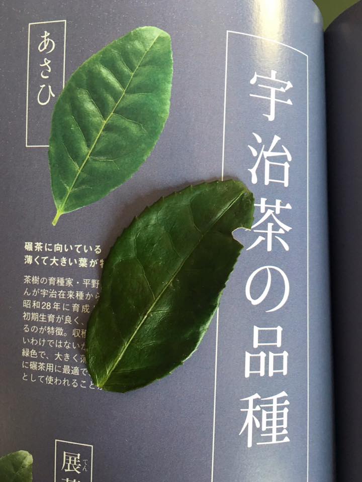 87134678_1650430655096421_204993776811245568_n