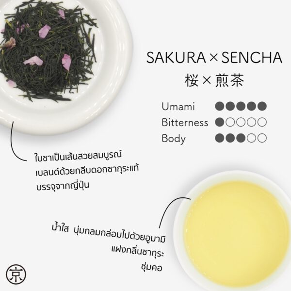 Sakura X Sencha ชาเขียว เซนฉะ สายพันธุ์ 静 7132 