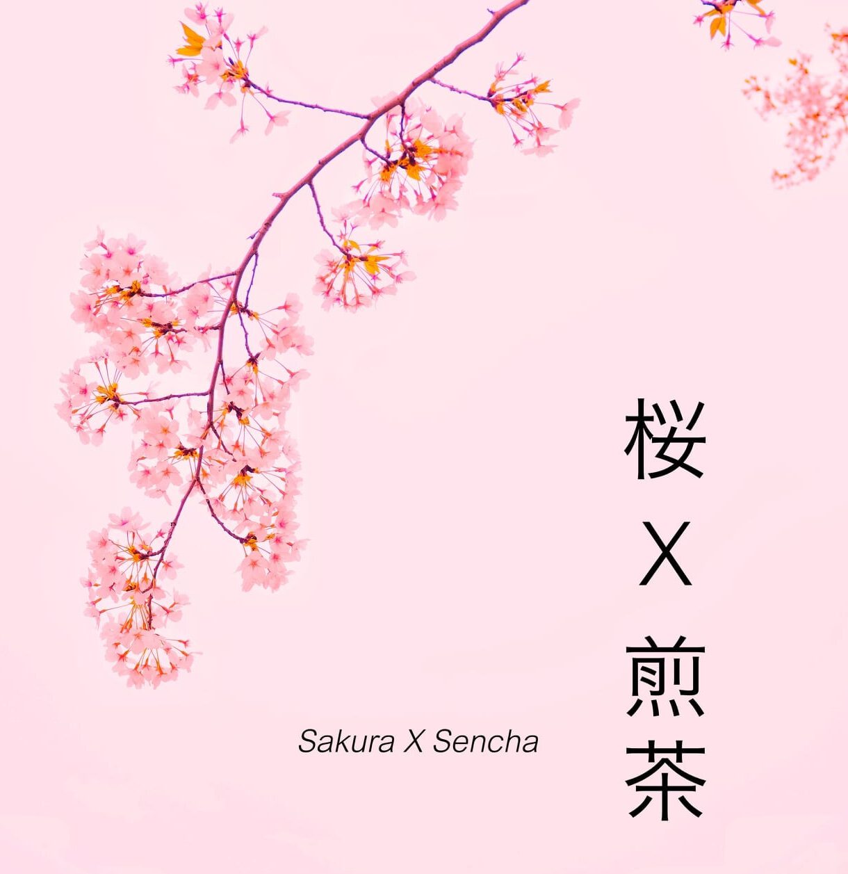 240886826_2149859958486819_6751030705998925817_n