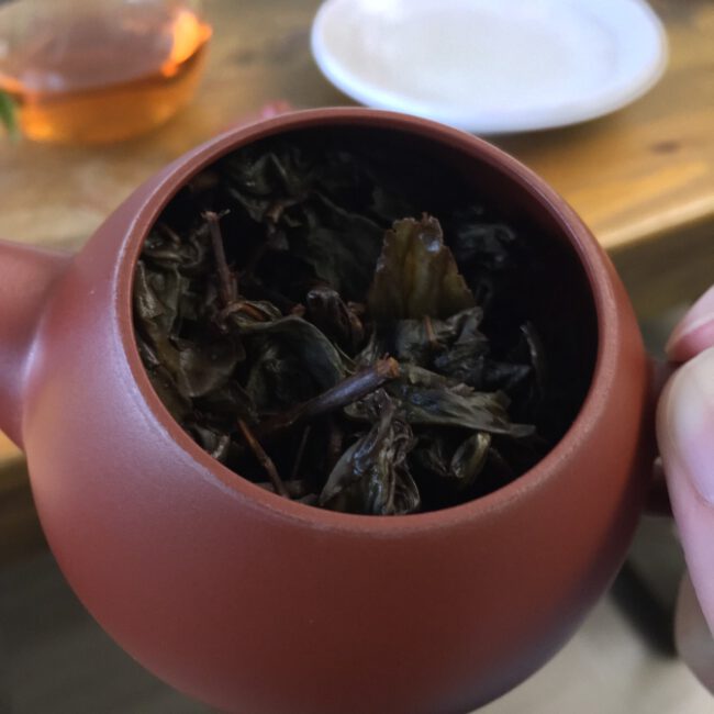 314862622_448170744104614_4942184617795974159_n