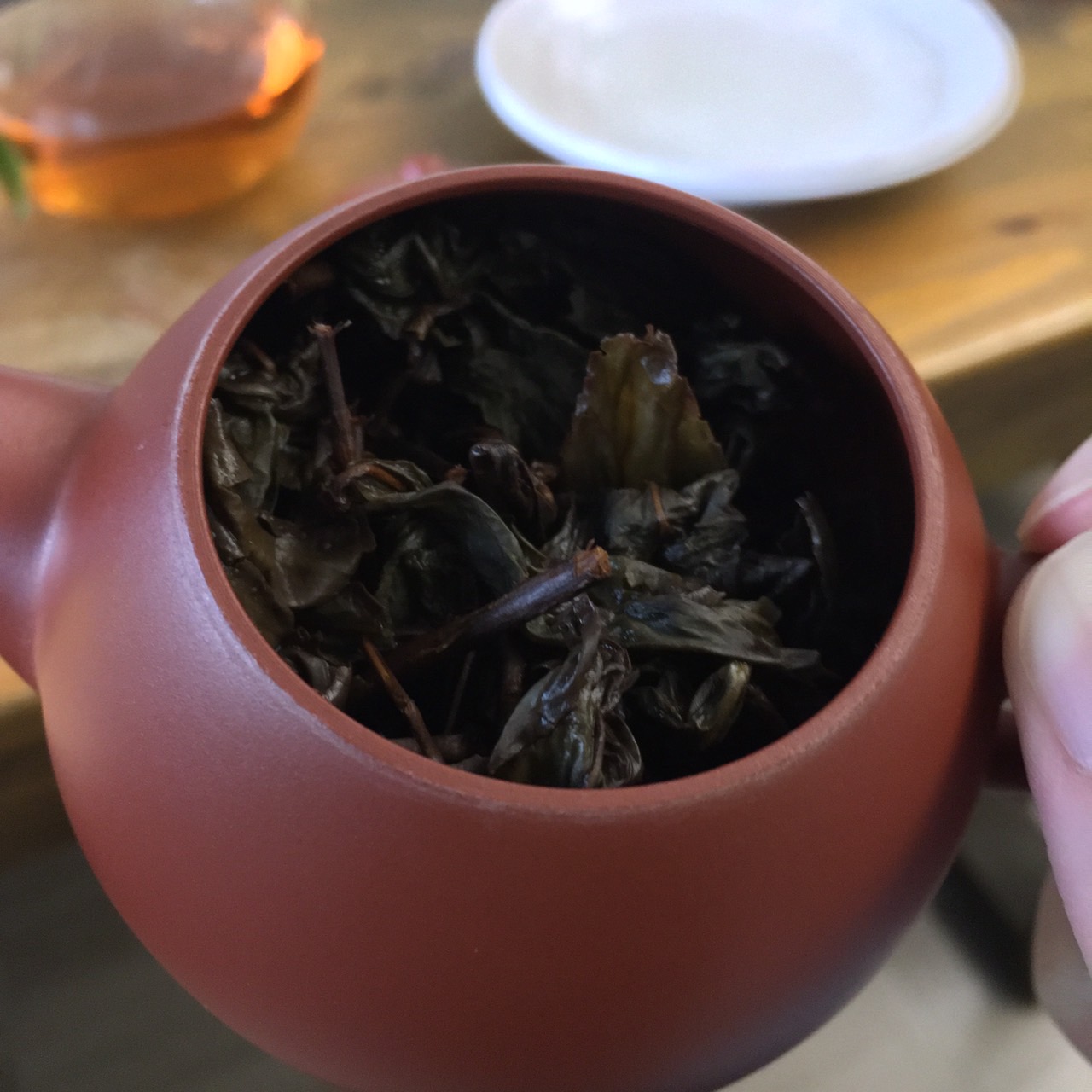 314862622_448170744104614_4942184617795974159_n