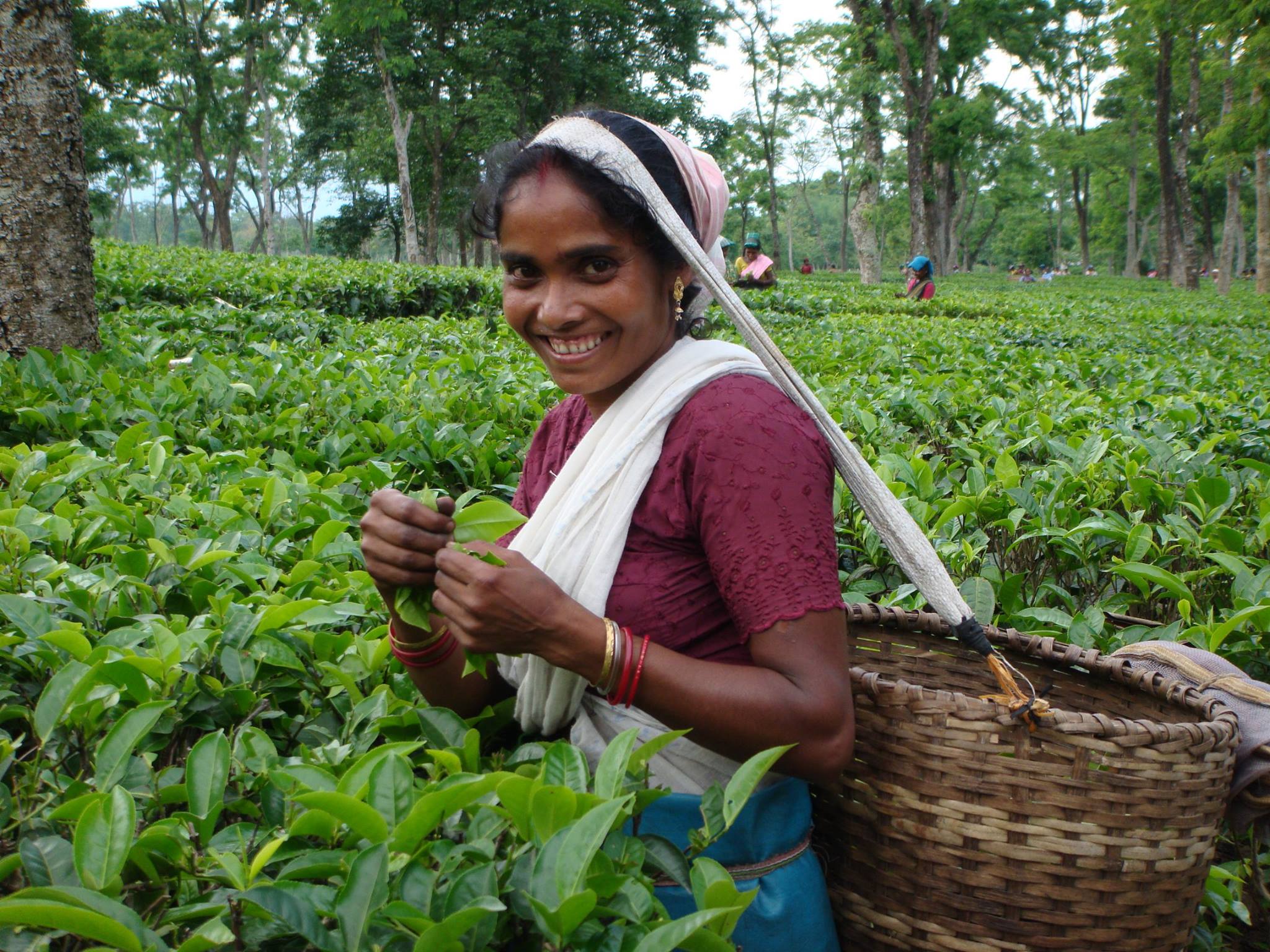 316278543_10160705834243678_1913894797952619581_n