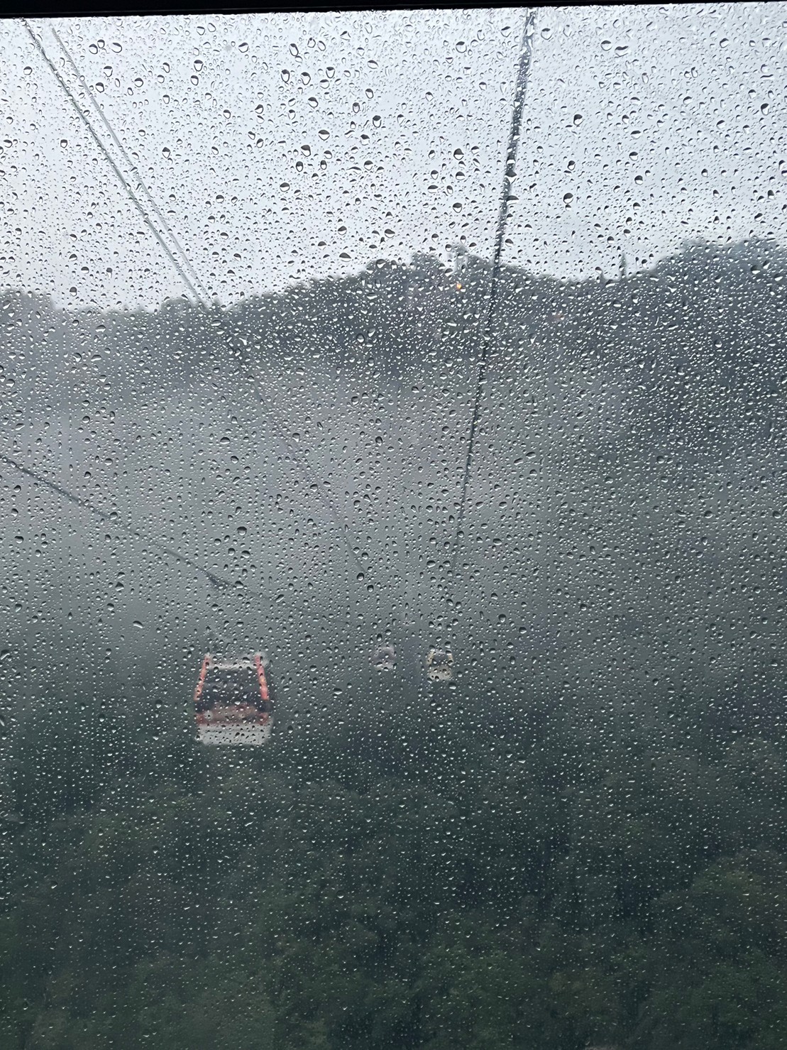 317089195_461015619486793_2770456462807213063_n