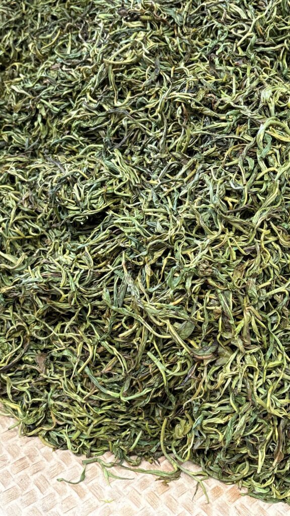 ชาผูเอ่อ เชียงใหม่ กูซู่เกากั่น ต้นชาโบราณ Chiang Mai Gushu Gaogan Puerh Tea